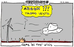 CAps IN THE WIND