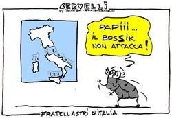 Fratellastri d'Italia