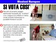 Indicazioni di voto