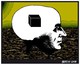 Black Box