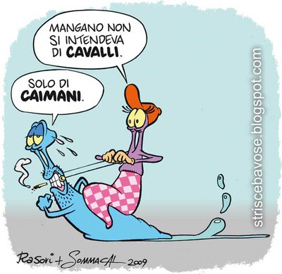 animalia