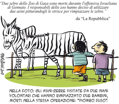 Zebre, asini e uomini