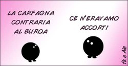 Burqarfagna