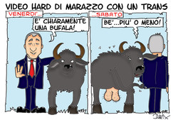 La bufala...