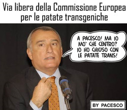 Via libera della Commissione Europea 
per le patate transgeniche