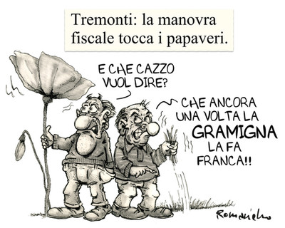 I papaveri di Tremonti