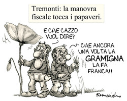 I papaveri di Tremonti