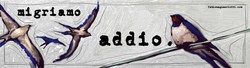 Addio.