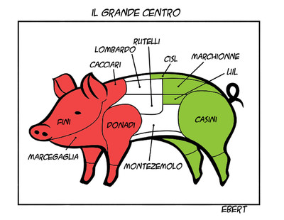 Alleanza per la libertà di fare futuro in autonomia per l'Italia verso nord...