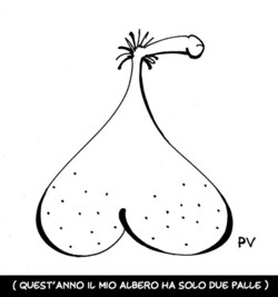 L'ALBERO mio...