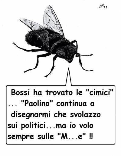 Insetto Spia