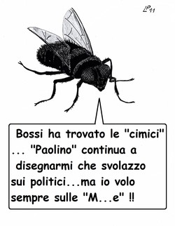 Insetto Spia