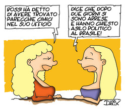 Cimici