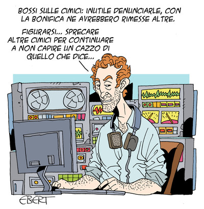 Le cimici verdi