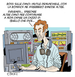Le cimici verdi