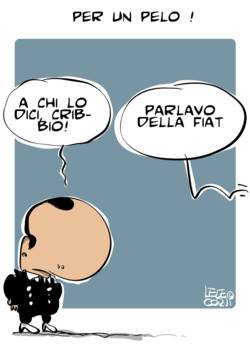 Per un pelo
