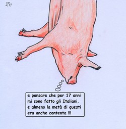 il Maiale