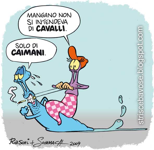 animalia