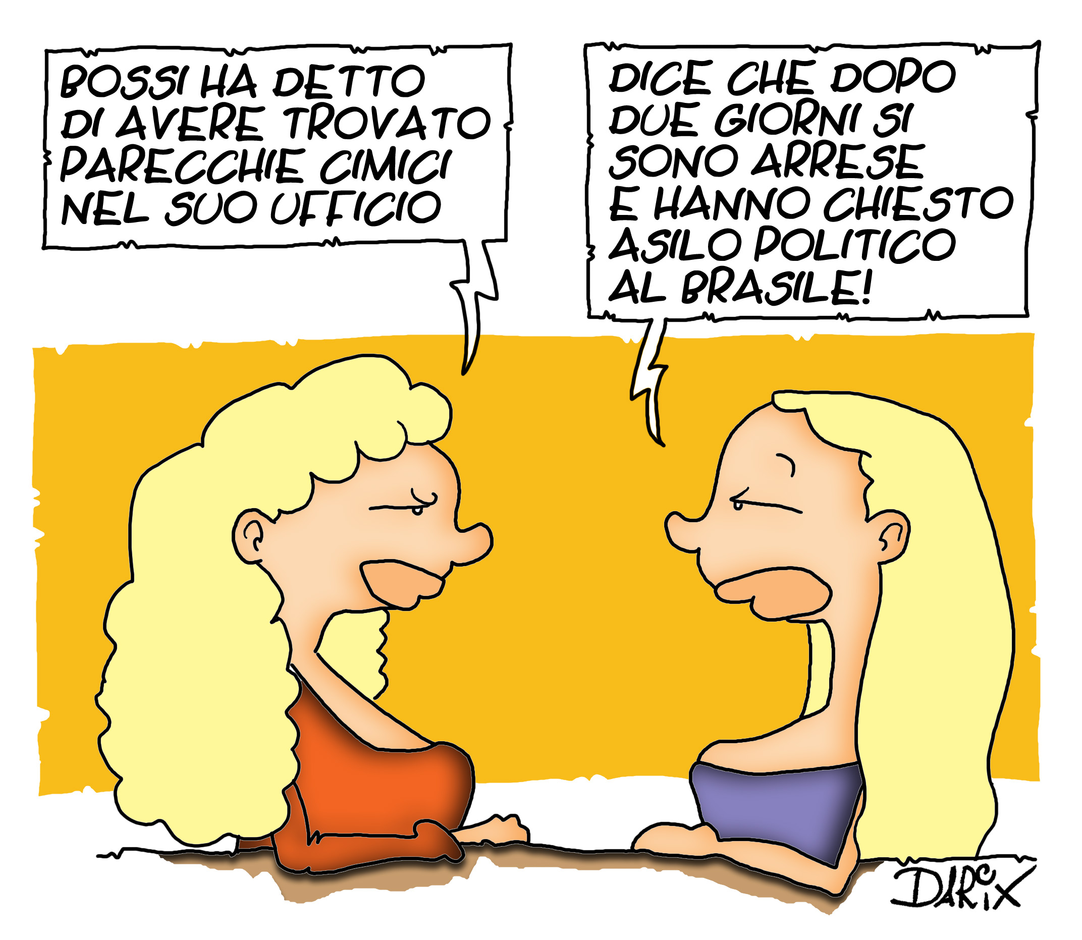 Cimici