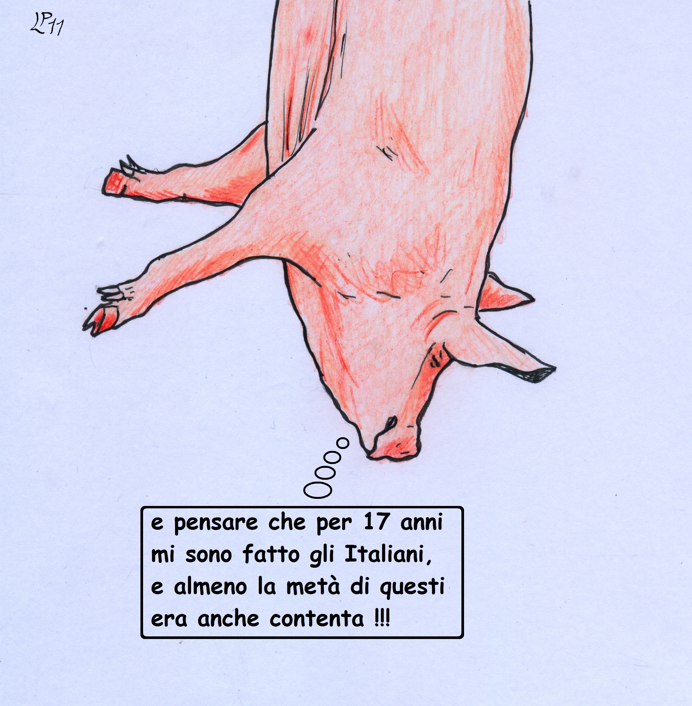 il Maiale